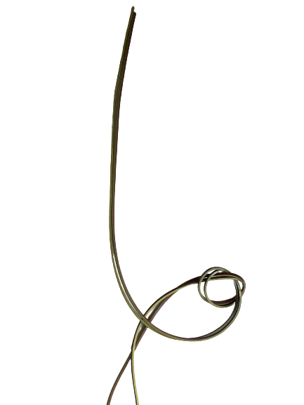 
                  
                    Leatherlace (sejlerbånd) 120 cm
                  
                