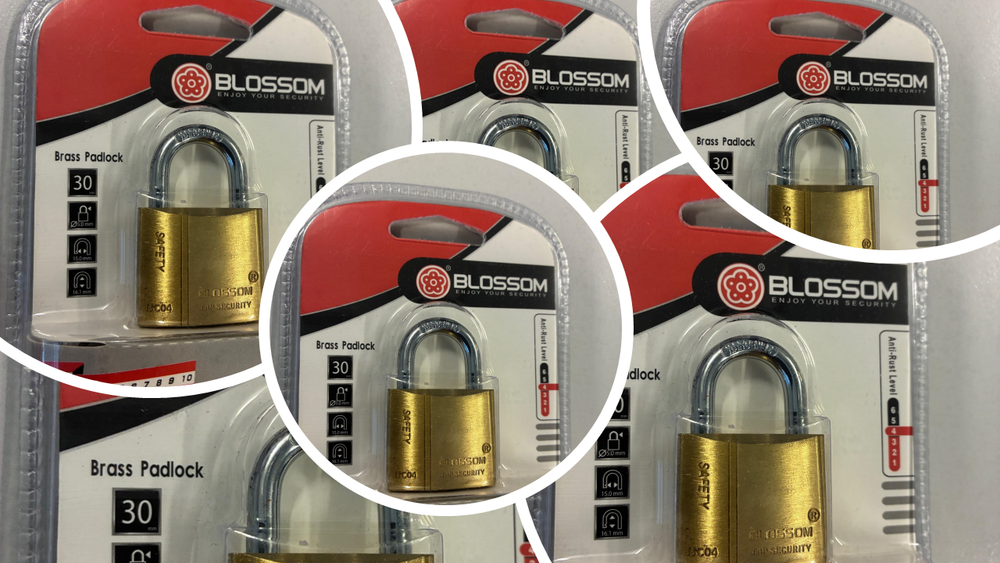 
                  
                    Blossom Hänglås (6-pack)
                  
                