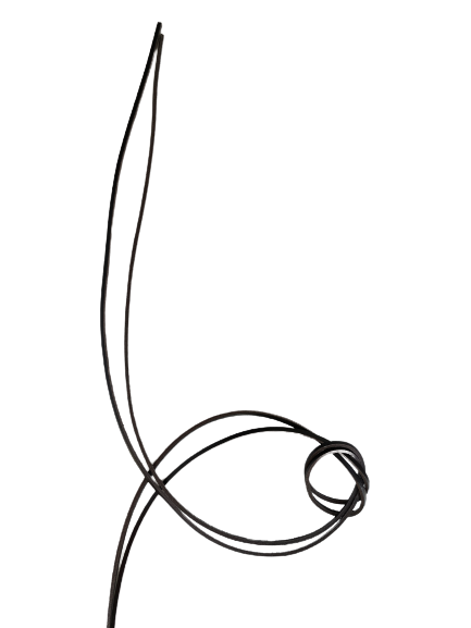 
                  
                    Leatherlace (sejlerbånd) 120 cm
                  
                